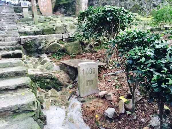 上海浦東律師：生產、銷售假藥罪法益侵害之實質判斷