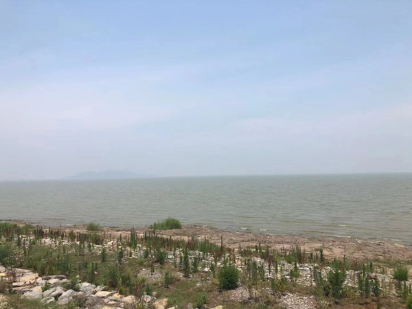 浦東區律師為您講解偽造公司印章詐騙定一罪還是數罪