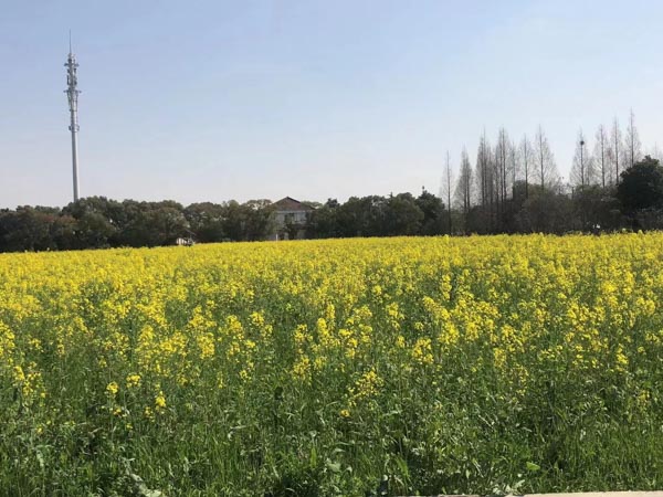 虹口律師來聊一聊養殖場“關停禁養和拆除”的拆遷補償相關問題