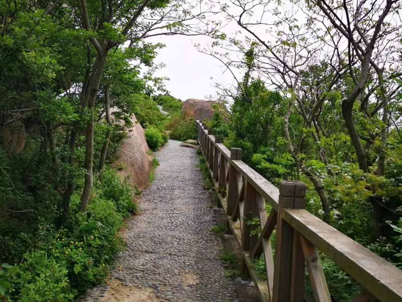 金山區律師：分公司訴訟及責任承擔是誰呢？