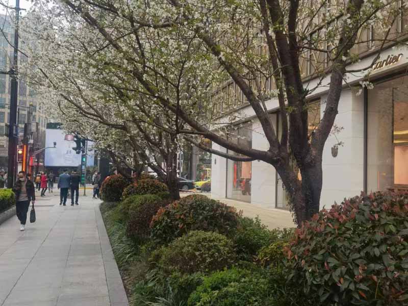 長寧區律師以案析法：征收方提供10套住宅置換被拆廠房，法院是如何說的？