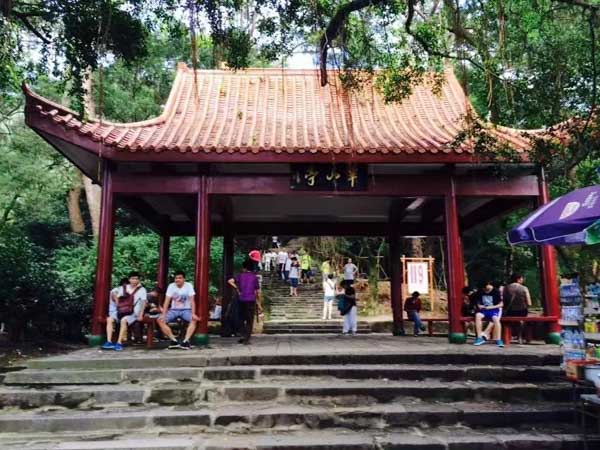 浦東律師來講講交通事故后的處理流程